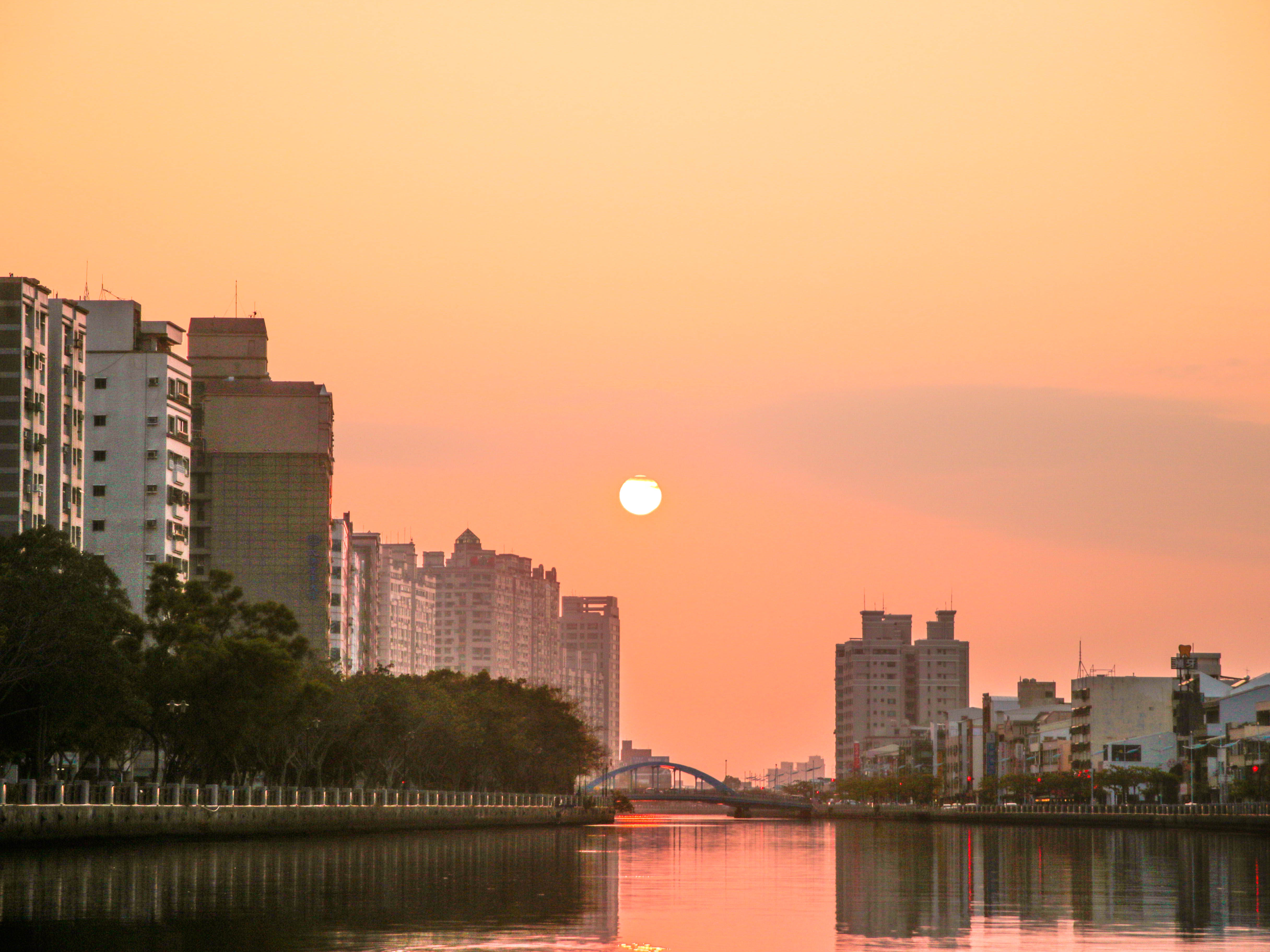 20190322 Mg 0718