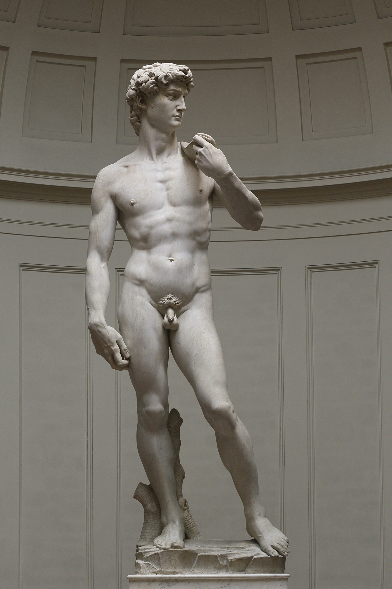David By Michelangelo Florence Galleria Dell'accademia